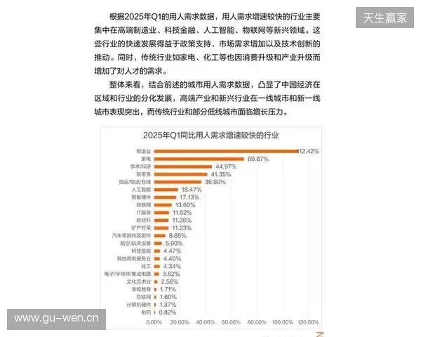 2025年12月虚拟局域网游戏联机方案综合评估报告