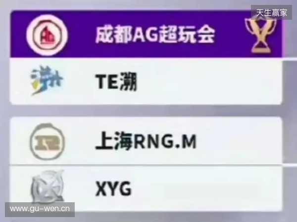 2025王者挑杯抽签结果公布 TE溯将迎战AG超玩会